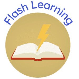 Flash Learning Icon
